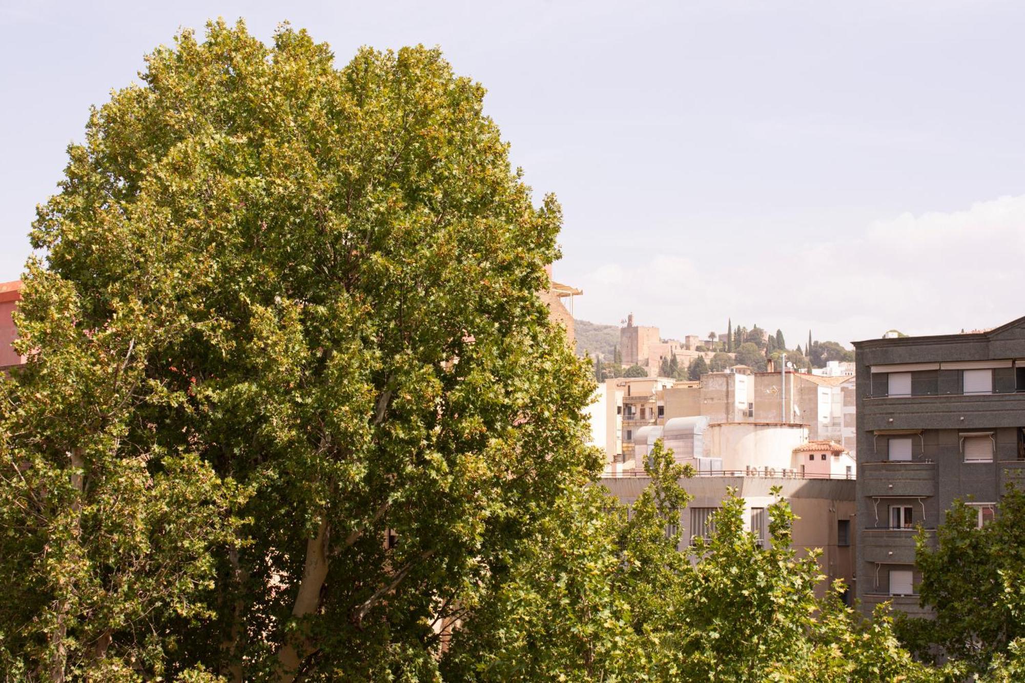 Apartamentos Centro Granada Dış mekan fotoğraf